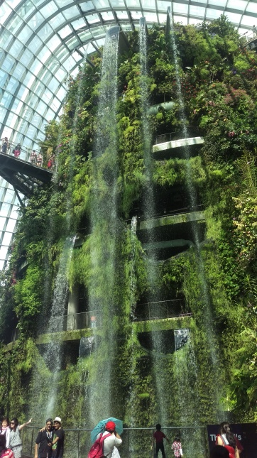 (pic - Story) Gardens - Cloud Forest 01